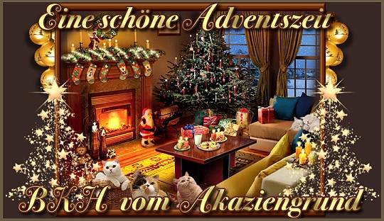 http://www.vom-akaziengrund.de/gb/weih11.jpg